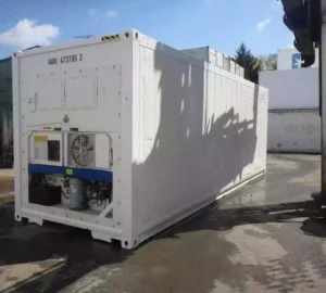 30 Feet Freezer Container Customized Mobile Cold Storage Cell Container / Reefer
